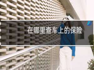 在哪里查车上的保险