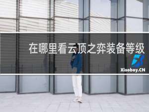 在哪里看云顶之弈装备等级