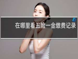 在哪里看五险一金缴费记录