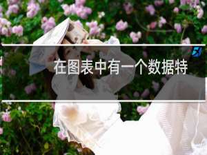 在图表中有一个数据特别大,如何处理