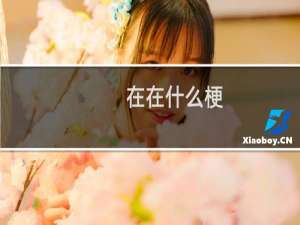 在在什么梗