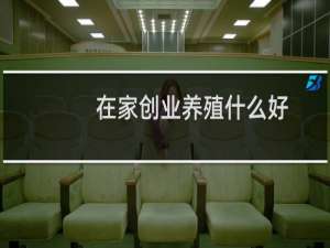 在家创业养殖什么好