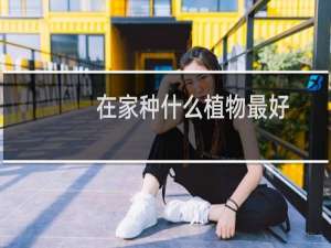 在家种什么植物最好
