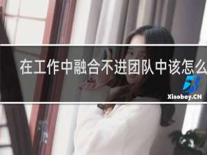 在工作中融合不进团队中该怎么办