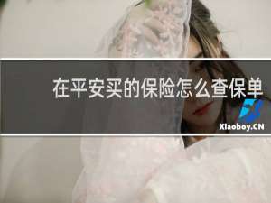 在平安买的保险怎么查保单