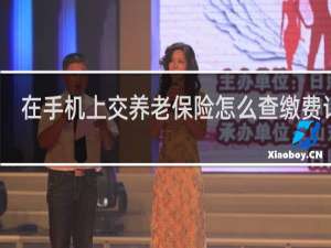 在手机上交养老保险怎么查缴费记录