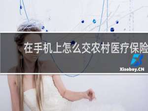 在手机上怎么交农村医疗保险