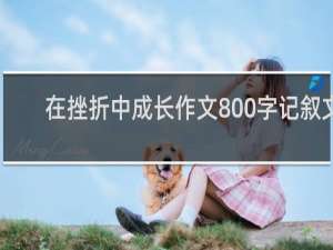 在挫折中成长作文800字记叙文