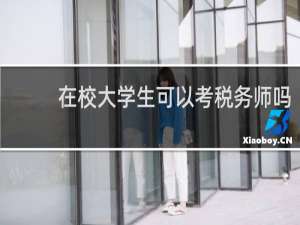 在校大学生可以考税务师吗