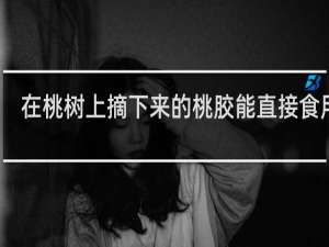 在桃树上摘下来的桃胶能直接食用吗