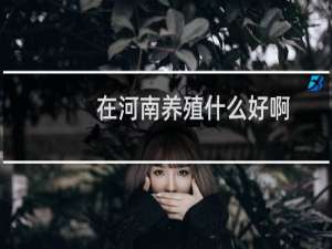 在河南养殖什么好啊