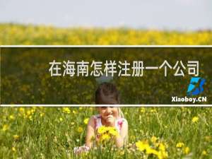 在海南怎样注册一个公司