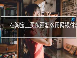 在淘宝上买东西怎么用网银付款