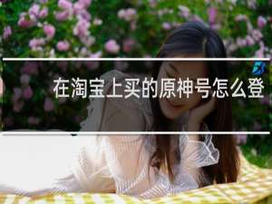 在淘宝上买的原神号怎么登