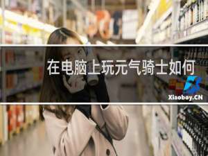 在电脑上玩元气骑士如何