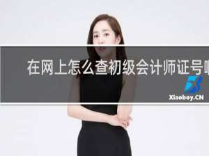 在网上怎么查初级会计师证号啊