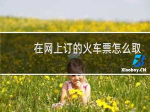 在网上订的火车票怎么取