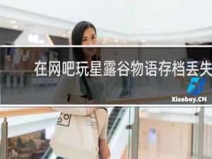 在网吧玩星露谷物语存档丢失