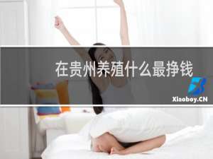 在贵州养殖什么最挣钱