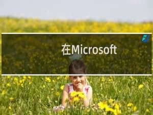 在Microsoft Windows XP中使用NetMeeting