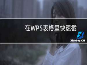 在WPS表格里快速截图的方法