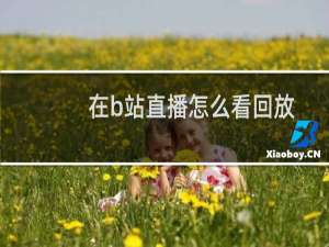 在b站直播怎么看回放