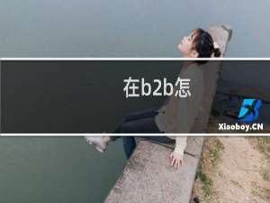 在b2b怎