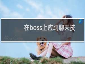 在boss上应聘聊天技巧