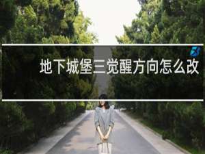 地下城堡三觉醒方向怎么改