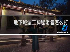 地下城堡二神秘老者怎么打
