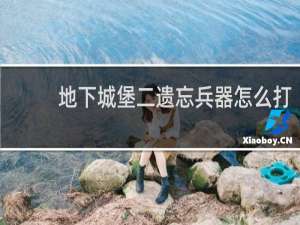 地下城堡二遗忘兵器怎么打
