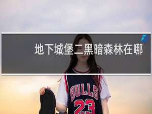 地下城堡二黑暗森林在哪