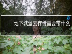 地下城堡云存储需要带什么