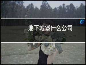地下城堡什么公司