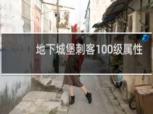 地下城堡刺客100级属性