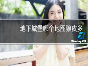 地下城堡哪个地图狼皮多