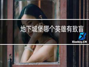 地下城堡哪个英雄有致盲