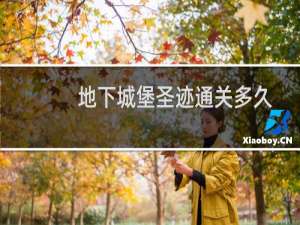 地下城堡圣迹通关多久
