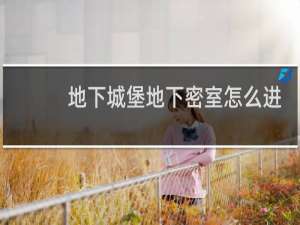 地下城堡地下密室怎么进