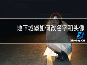 地下城堡如何改名字和头像