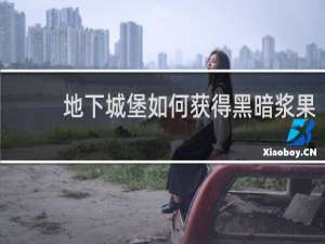 地下城堡如何获得黑暗浆果