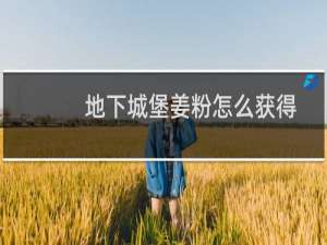 地下城堡姜粉怎么获得