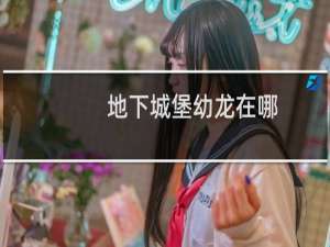 地下城堡幼龙在哪