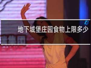 地下城堡庄园食物上限多少