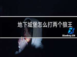 地下城堡怎么打两个狼王