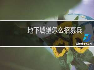 地下城堡怎么招募兵