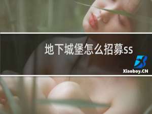 地下城堡怎么招募ss