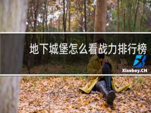 地下城堡怎么看战力排行榜