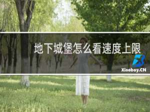 地下城堡怎么看速度上限