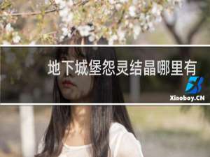 地下城堡怨灵结晶哪里有